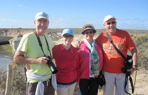 Preview Image 71